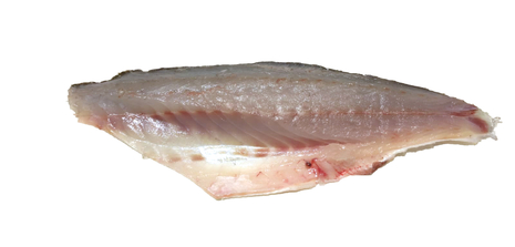 FILETTO DI BRANZINO 400/600 CROAZIA